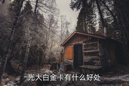 光大微稅聯(lián)白金卡有什么好處，光大銀行白金卡的好處我提供本人的100平以上的房產(chǎn)證和作為法人
