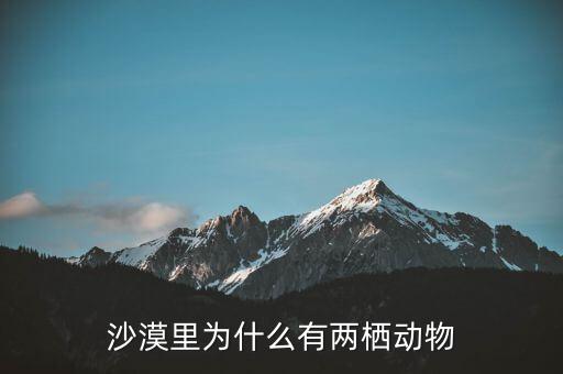 餓者稱為什么，沙漠里為什么有兩棲動(dòng)物
