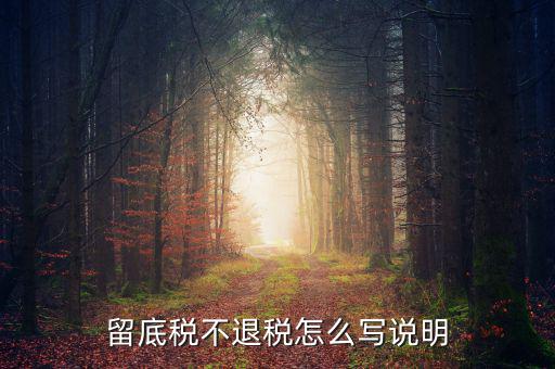 退抵稅說(shuō)明書(shū)怎么寫(xiě),退稅抵稅申請(qǐng)確認(rèn)書(shū)、小額退稅憑證