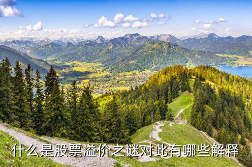 股票溢價是什么意思，什么是股票溢價之謎對此有哪些解釋