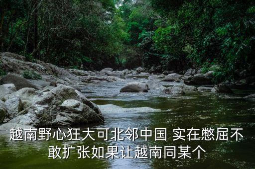 越南為什么那么狂，越南野心狂大可北鄰中國 實(shí)在憋屈不敢擴(kuò)張如果讓越南同某個(gè)
