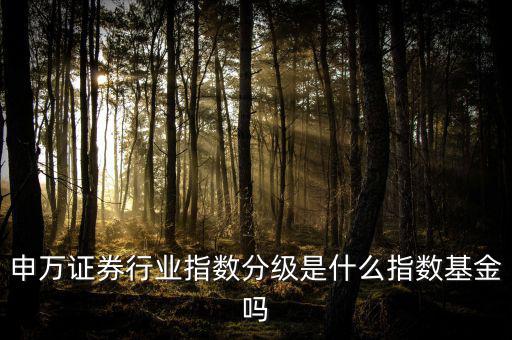 申萬證券行業(yè)指數分級是什么指數基金嗎