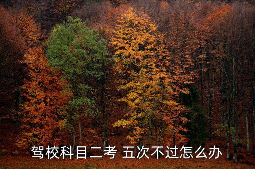 駕?？颇慷?五次不過怎么辦