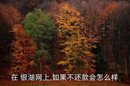 在 銀湖網上,如果不還款會怎么樣