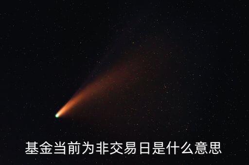 非交易日是什么意思，轉(zhuǎn)換景順貨幣A基金顯示非交易時間是什么意思