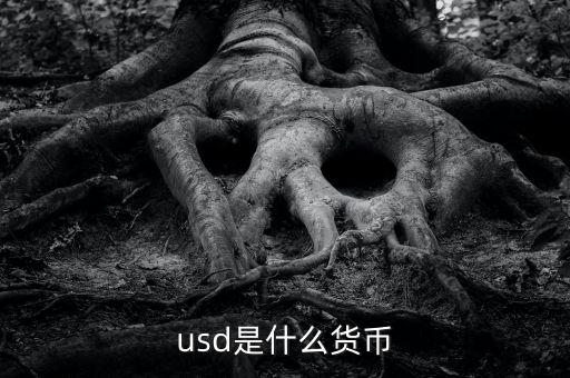 usd什么貨幣，什么是USD