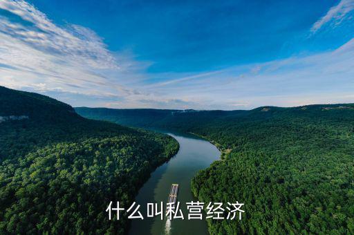 什么是民營(yíng)經(jīng)濟(jì)，私營(yíng)經(jīng)濟(jì)指的是什么