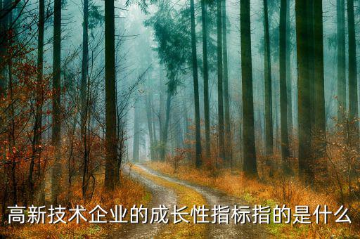 公司成長性指標用什么，請問反映企業(yè)價值和企業(yè)成長性的指標有哪些