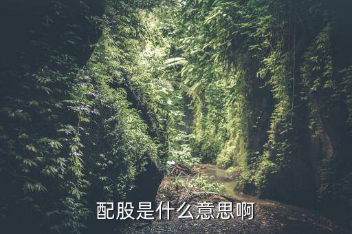 配股是什么意思，配股是什么意思啊