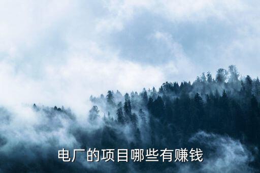 電廠(chǎng)的項(xiàng)目哪些有賺錢(qián)