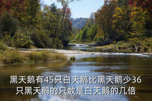 什么是黑天鵝，黑天鵝有45只白天鵝比黑天鵝少36只黑天鵝的只數(shù)是白天鵝的幾倍