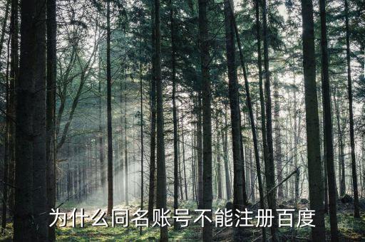 什么是同名賬戶，神武游戲說存在同名賬號(hào)是什么意思