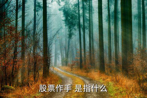 什么是股票作手，什么是作手