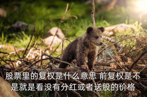 復(fù)權(quán)是什么意思，請(qǐng)教前復(fù)權(quán)和后復(fù)權(quán)是什么意思有什么不一樣