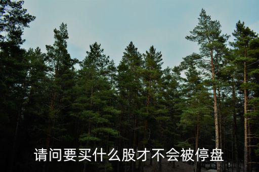 什么樣的股票不會(huì)停牌，一般什么 股票沒(méi)有突然停盤(pán)的可能