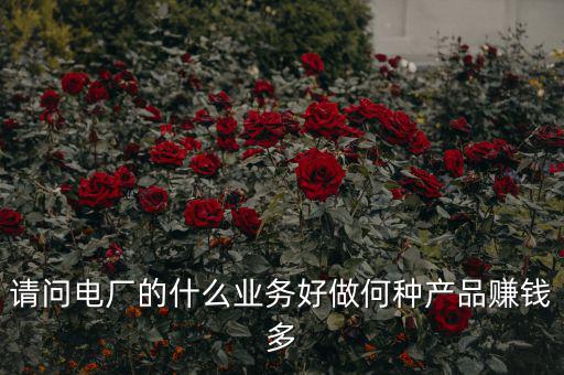 請(qǐng)問(wèn)電廠(chǎng)的什么業(yè)務(wù)好做何種產(chǎn)品賺錢(qián)多