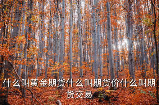 什么是期貨價(jià)，什么叫黃金期貨什么叫期貨價(jià)什么叫期貨交易