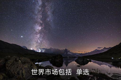 世界市場包括什么，世界上分哪些市場
