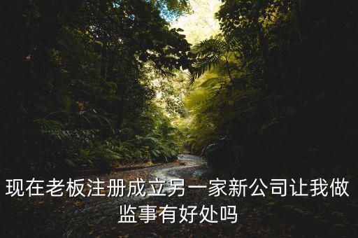 上市公司做監(jiān)事有什么好處，現在老板注冊成立另一家新公司讓我做監(jiān)事有好處嗎