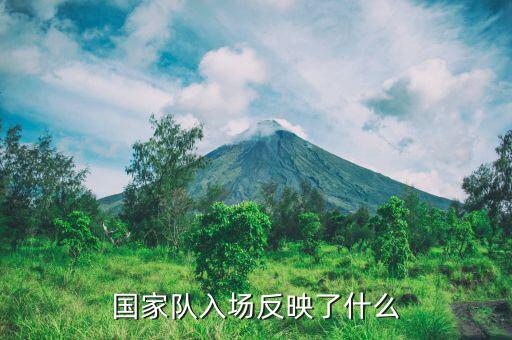 國(guó)家隊(duì)進(jìn)場(chǎng)是什么意思，國(guó)家隊(duì)入場(chǎng)反映了什么
