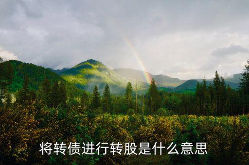 什么是債轉(zhuǎn)股，將轉(zhuǎn)債進(jìn)行轉(zhuǎn)股是什么意思