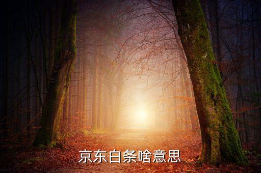 京東白條是什么，京東白條啥意思