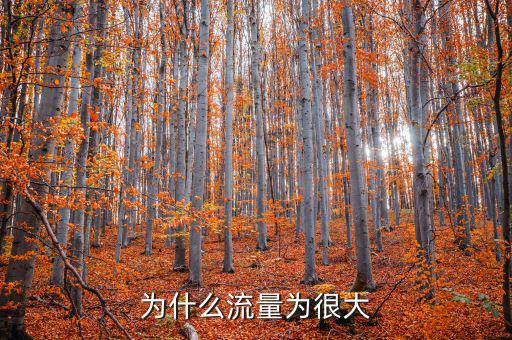 易尚網(wǎng)為什么流量那么大，最近網(wǎng)站流量超標(biāo)了導(dǎo)致無(wú)法正常訪問(wèn)這該如何解決