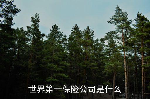 世界上第一家保險公司叫什么，世界第一保險公司是什么
