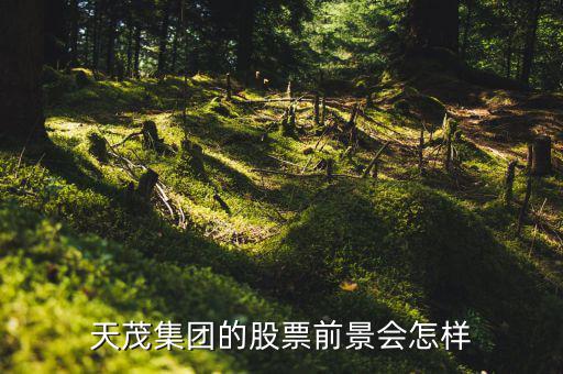 國泰醫(yī)藥什么時候復牌，天茂集團的股票前景會怎樣