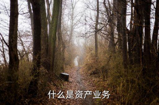 什么是大資產(chǎn)業(yè)務，商業(yè)銀行三大支柱業(yè)務是什么