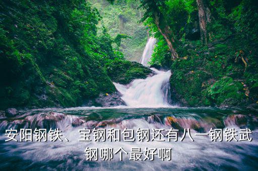 安陽鋼鐵、寶鋼和包鋼還有八一鋼鐵武鋼哪個最好啊