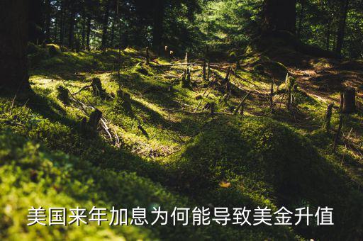 美聯(lián)儲加息為什么會使美元升值，美國來年加息為何能導致美金升值