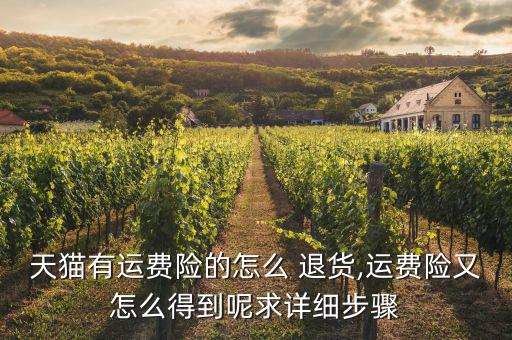 天貓有運(yùn)費(fèi)險的怎么 退貨,運(yùn)費(fèi)險又怎么得到呢求詳細(xì)步驟