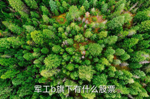 軍工b屬于什么股票，軍工b旗下有什么股票