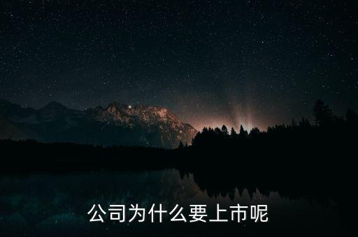 公司為什么上市，公司為什么要上市呢