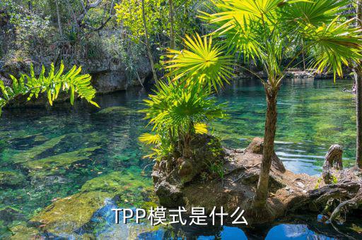 tpp什么時候生效，TPP文件時什么東西