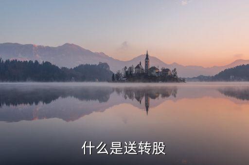 什么叫送股，什么是送轉(zhuǎn)股