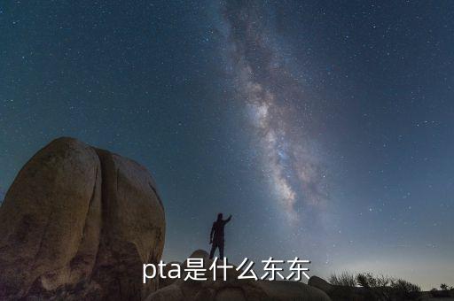 pta行業(yè)是什么，pta是什么東東