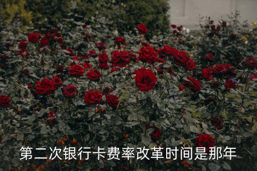 各銀行手續(xù)費改革什么時候開始，第二次銀行卡費率改革時間是那年