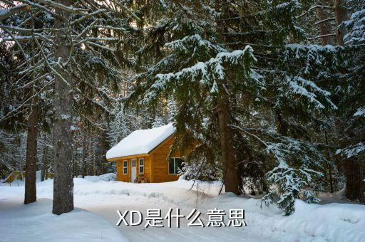 xd中國衛(wèi)星是什么意思，XD澄星股的XD是什么意思