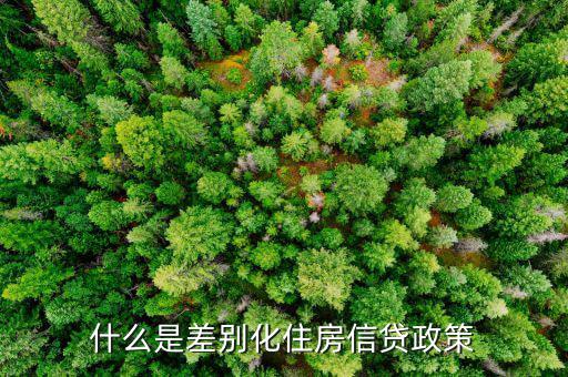 什么是差別化住房信貸政策，什么叫差別化住房信貸政策