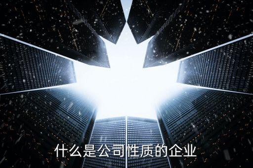 中期集團(tuán)是什么性質(zhì)的企業(yè)，集團(tuán)是什么性質(zhì)的公司
