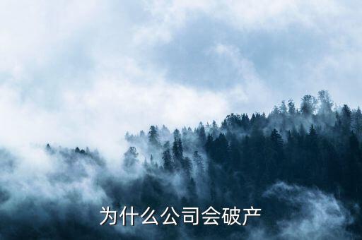 凱銀集團(tuán)為什么破產(chǎn)了，公司破產(chǎn)的原因是什么