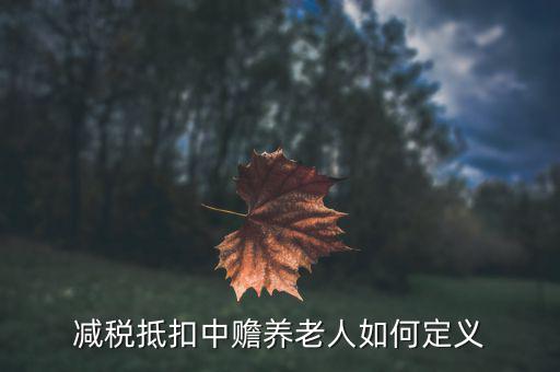 什么是減稅養(yǎng)老，減稅抵扣中贍養(yǎng)老人如何定義