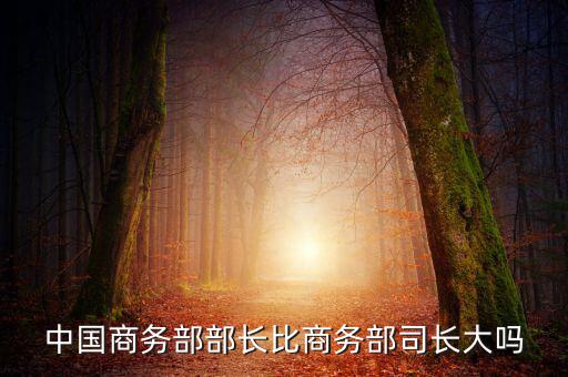 商務(wù)部部長(zhǎng)什么級(jí)別，商務(wù)部部長(zhǎng)多大的官