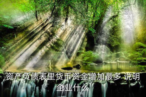 貨幣資金增加說明什么，資產(chǎn)負債表里貨幣資金增加最多 說明企業(yè)什么