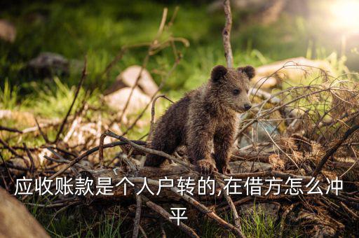 怎么平其他應收款帳,同志貸款轉賬賬戶財務收據(jù)