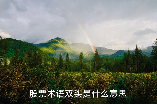 什么是大盤做雙頭，股票術(shù)語雙頭是什么意思