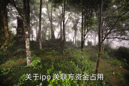 什么是關(guān)聯(lián)方資金占用，關(guān)于ipo 關(guān)聯(lián)方資金占用