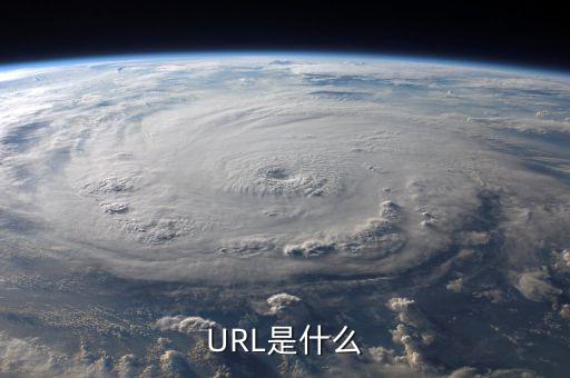 久其費控url是什么，URL是什么意思